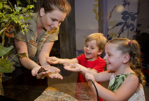 WILD LIFE Sydney Zoo - Accommodation Nelson Bay 1