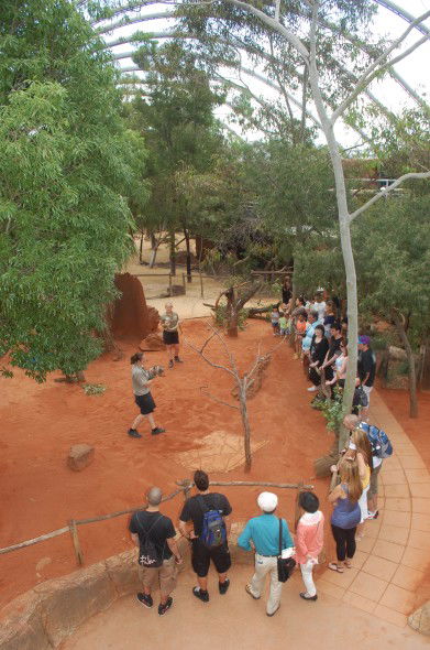 WILD LIFE Sydney Zoo - Accommodation Nelson Bay 2