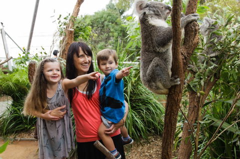 WILD LIFE Sydney Zoo - Accommodation Nelson Bay 3