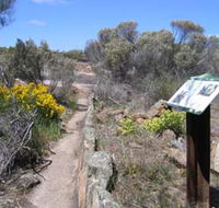 Christmas Rock Walk - Accommodation Nelson Bay