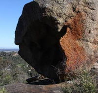 Eagle's View Walk John Forrest National Park - Accommodation Nelson Bay