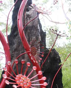 Northcliffe WA Accommodation Nelson Bay