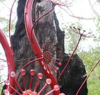 Understory Art In Nature - Accommodation Nelson Bay