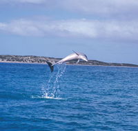 Steep Point - Accommodation Nelson Bay