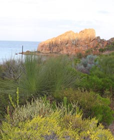 Meelup Trail - Accommodation Nelson Bay 0