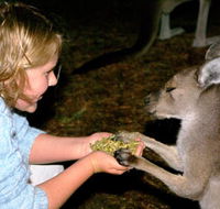 Discovery Bay's Walk on the Wild Side - Accommodation Nelson Bay