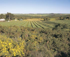 Chapman Valley Scenic Drive - Accommodation Nelson Bay 0