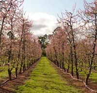 Raeburn Orchards - Accommodation Nelson Bay