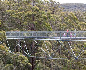 Nornalup WA Accommodation Nelson Bay