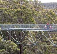 Walpole Wilderness Discovery Centre - Accommodation Nelson Bay