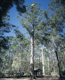 Manjimup WA Accommodation Nelson Bay