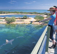 Shark Bay Marine Park - Accommodation Nelson Bay