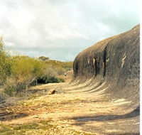 Totadgin Dam Reserve - Accommodation Nelson Bay