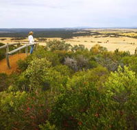 Archer Drive Scenic Drive and Lookout - Accommodation Nelson Bay