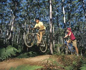 Leeuwin-Naturaliste National Park - Cowaramup - Accommodation Nelson Bay 0