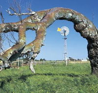 Greenough Leaning Trees - Accommodation Nelson Bay