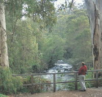 Cascades - Accommodation Nelson Bay