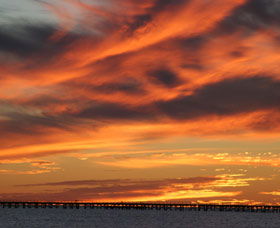 One Mile Jetty Top Trail - Accommodation Nelson Bay 0