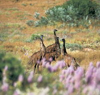 Jurabi Coastal Reserve - Accommodation Nelson Bay