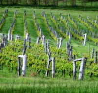 Sienna Estate Winery - Accommodation Nelson Bay