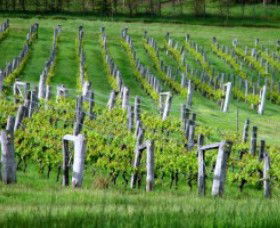 Sienna Estate Winery - Accommodation Nelson Bay 0