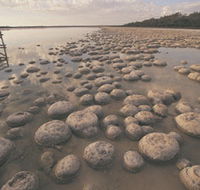 Yalgorup National Park - Accommodation Nelson Bay