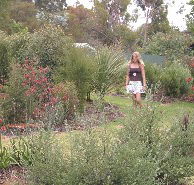 The Mythic Mazes - Accommodation Nelson Bay