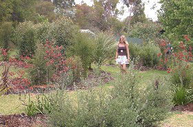 The Mythic Mazes - Accommodation Nelson Bay 0