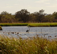 Anytime Adventures in Mandurah  the Peel Region - Accommodation Nelson Bay