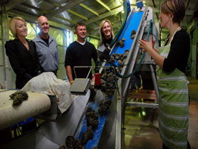 Eyre Peninsula's Seafood Trail - Accommodation Nelson Bay 0