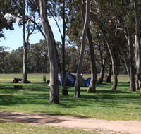 Black Cockatoo Bush Camp - Accommodation Nelson Bay