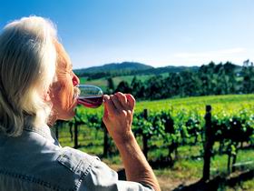 Ashton Hills Vineyard - Accommodation Nelson Bay 0