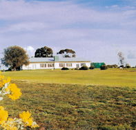 Lucindale Country Club - Accommodation Nelson Bay