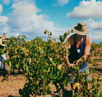 Torbreck Vintners - Accommodation Nelson Bay