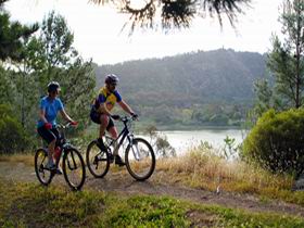 Mount Gambier Crater Lakes Mountain Bike Trail - Accommodation Nelson Bay 0