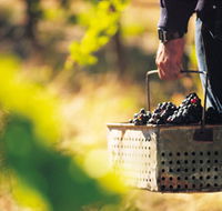 Burge Family Winemakers - Accommodation Nelson Bay