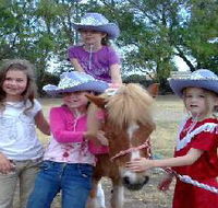 Amberainbow Pony Rides - Accommodation Nelson Bay