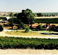 Irvine Wines - Accommodation Nelson Bay