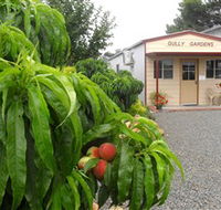 Gully Gardens - Accommodation Nelson Bay