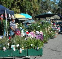 Meadows Monthly Market - Accommodation Nelson Bay