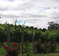 Manyara Vineyard - Accommodation Nelson Bay