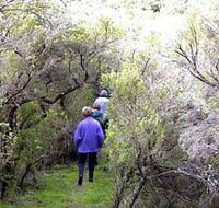 Jack And Hilda McArthur Walk - Accommodation Nelson Bay