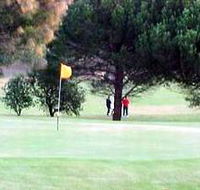 Meningie Lake Albert Golf Club - Accommodation Nelson Bay
