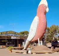 The Big Galah - Accommodation Nelson Bay