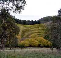 Mt Bera Vineyards - Accommodation Nelson Bay