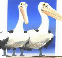 Bay of Shoals Wines - Accommodation Nelson Bay