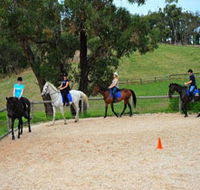 Megan Jones Riding School and Trail Rides - Accommodation Nelson Bay