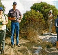 Coobowie Bird Hide - Accommodation Nelson Bay