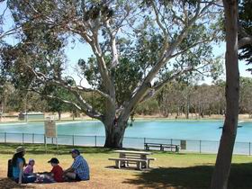 Naracoorte Nature Park And Swimming Lake - Accommodation Nelson Bay 0