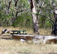 Penola Conservation Park - Accommodation Nelson Bay